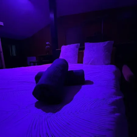 Avec Sauna 36m² 아파트 *