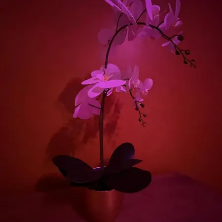 아파트 Avec Sauna 36m²